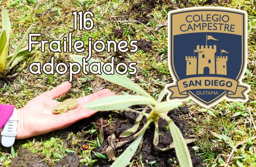 Siembra Frailejones colegio San Diego – Duitama