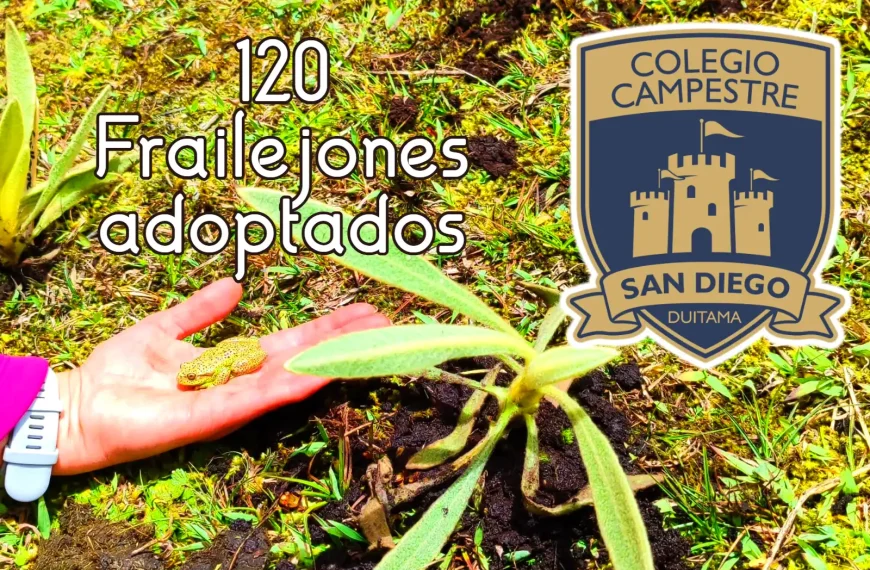 Siembra Frailejones colegio San Diego – Duitama
